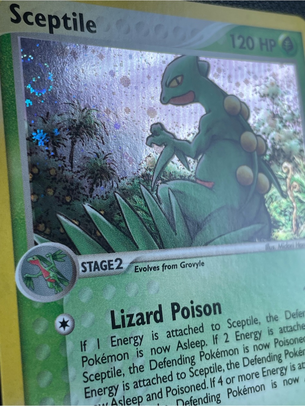 Sceptile #11/Holo/Pokemon Ruby & Sapphire - Picture 7 of 15